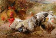 unknow artist Poultry 115 oil painting reproduction